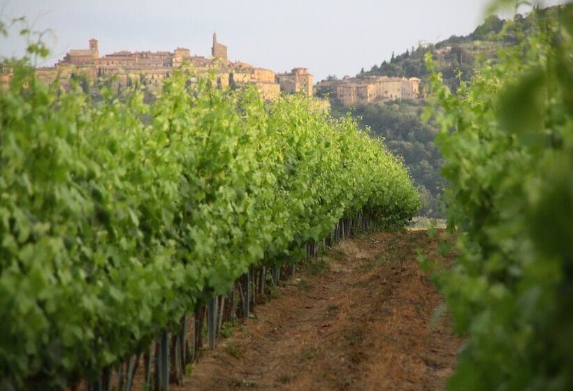 酒店 Tenuta Lamborghini Golf & Resort