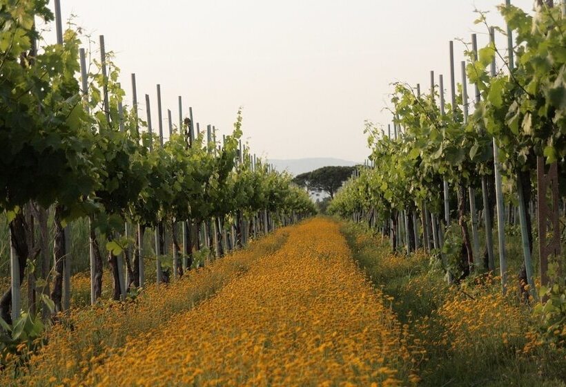 酒店 Tenuta Lamborghini Golf & Resort