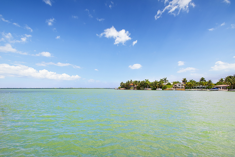 בית מלון כפרי Villa Mercy