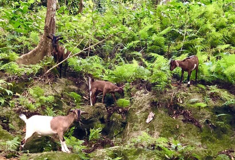 펜션 Casa De Moalboal