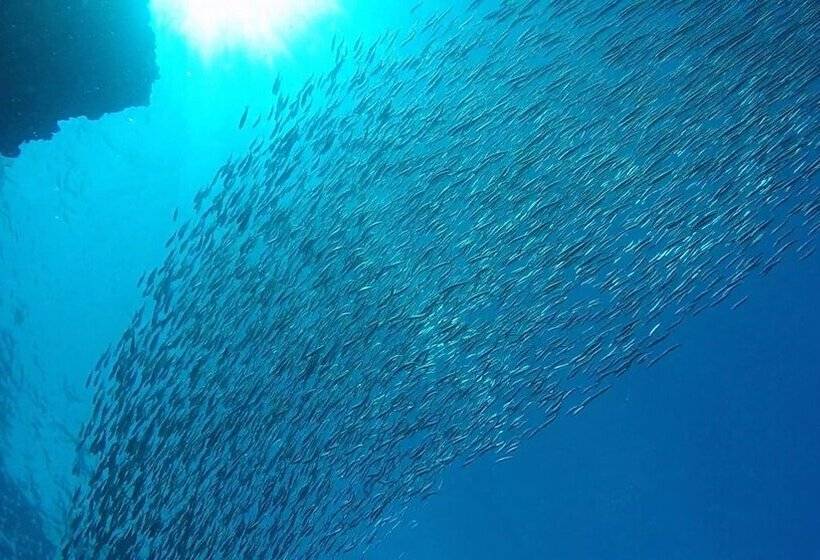 펜션 Casa De Moalboal