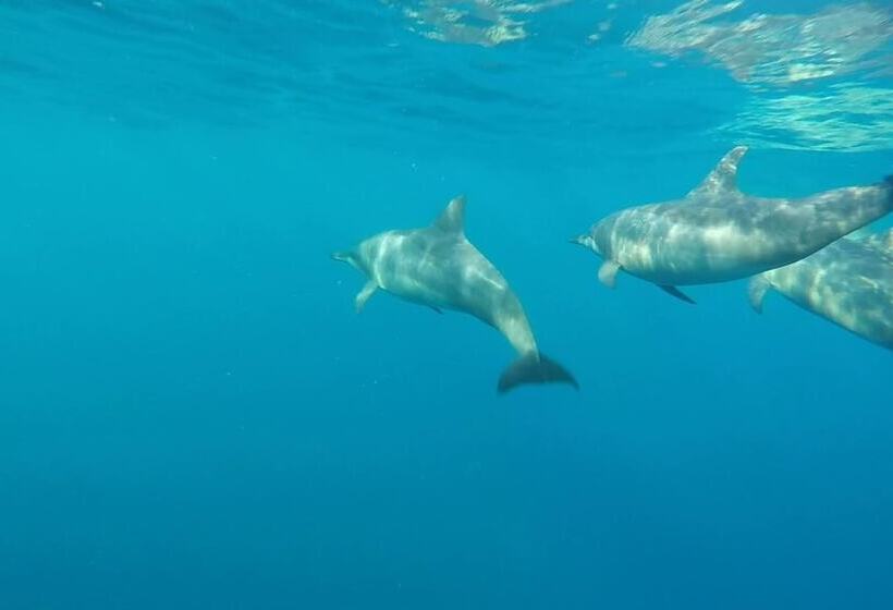 펜션 Casa De Moalboal