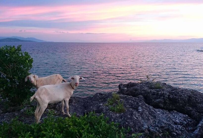 펜션 Casa De Moalboal