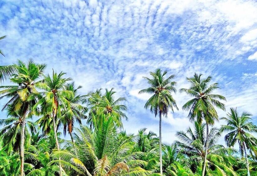 پانسیون Equator Residence