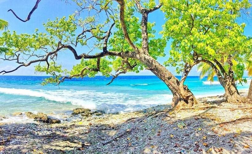 پانسیون Equator Residence