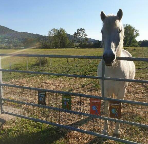 بنسيون Ferme De Chiuni