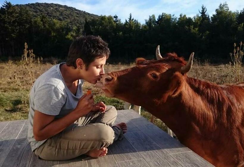 بنسيون Ferme De Chiuni