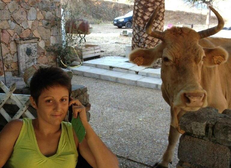 بنسيون Ferme De Chiuni