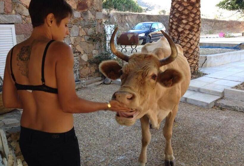 بنسيون Ferme De Chiuni