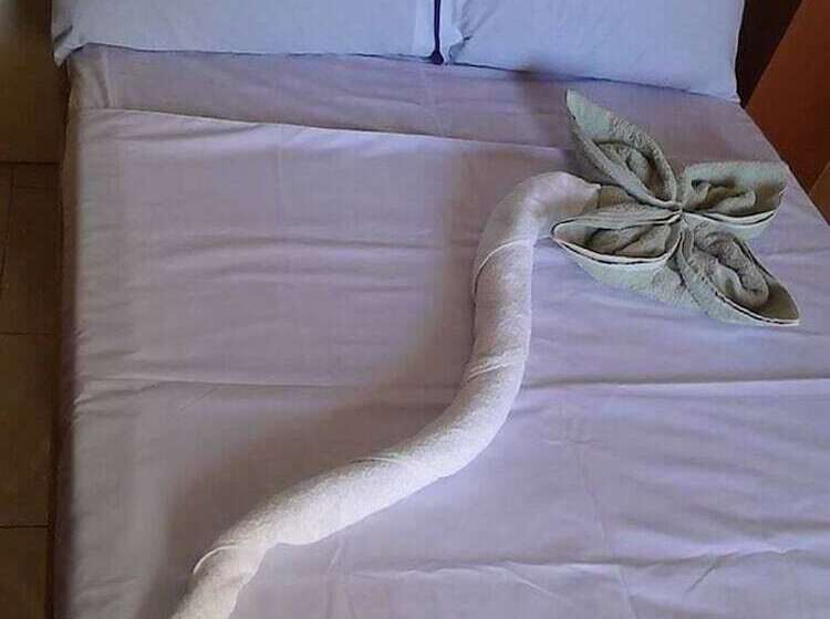 פנסיון N & F Guest House