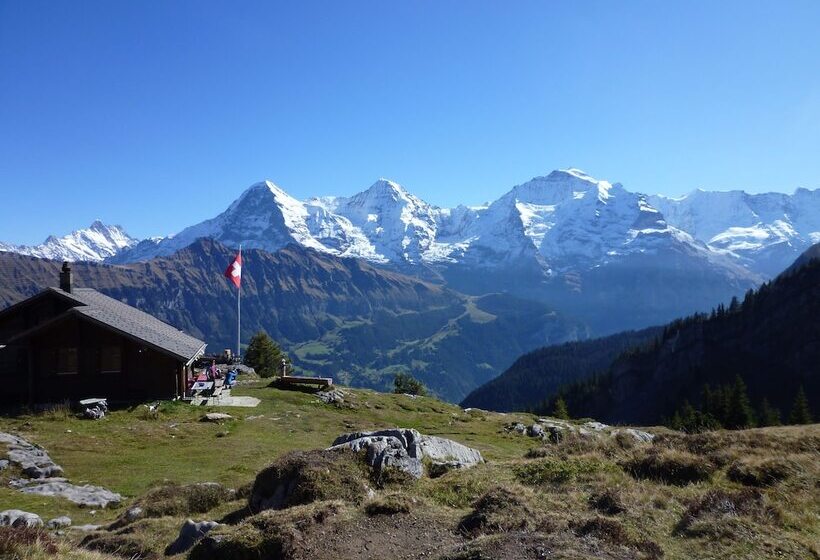 Pension Chalet Berkana