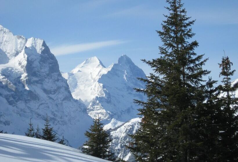 Pension Chalet Berkana