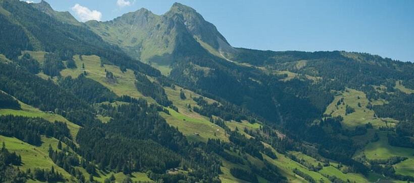 Appartements Hartlbauer