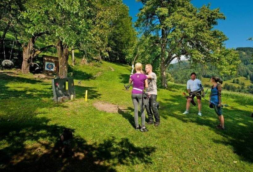 Appartements Hartlbauer