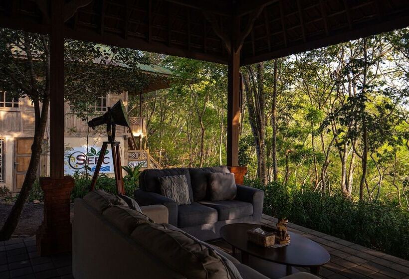 Bed and Breakfast Menjangan Eco Lodge