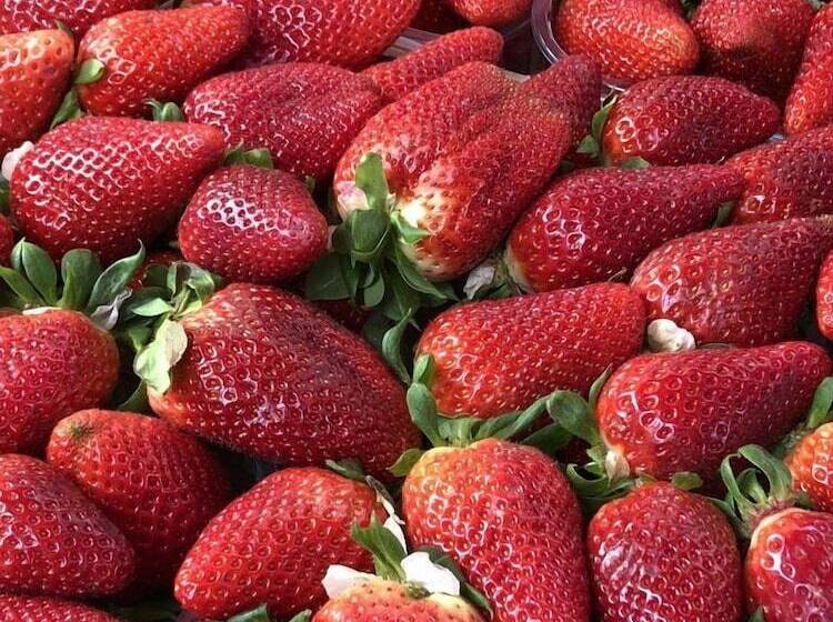 酒店 Bellaroto Suite & Spa