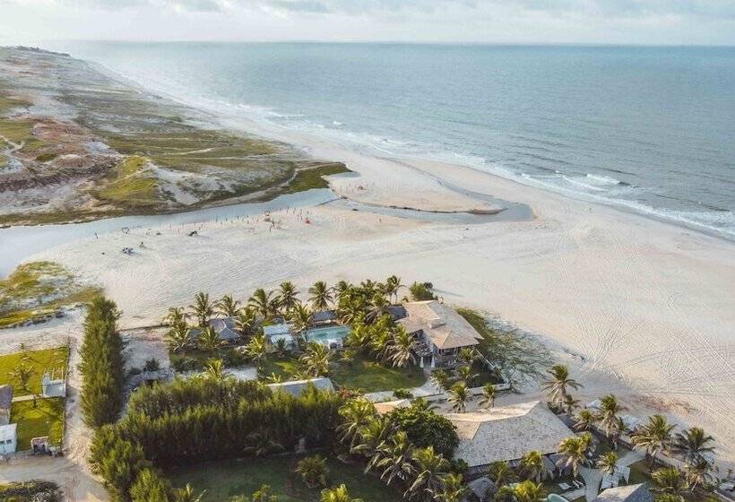 Отель Zebra Boutique