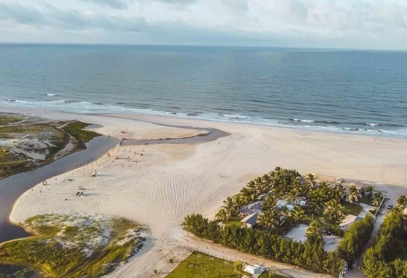 Отель Zebra Boutique