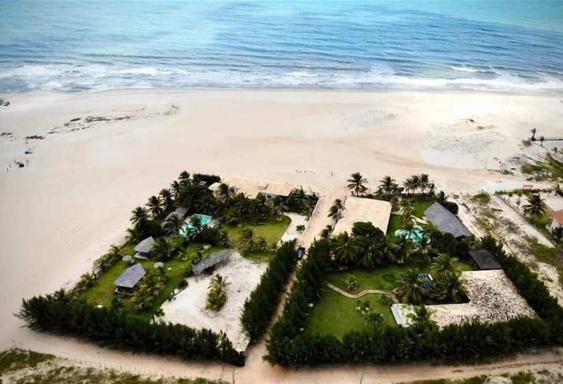 Отель Zebra Boutique