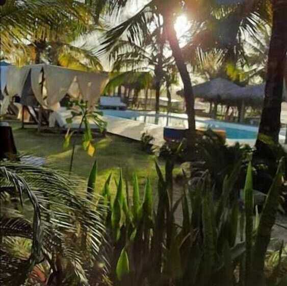 Отель Zebra Boutique