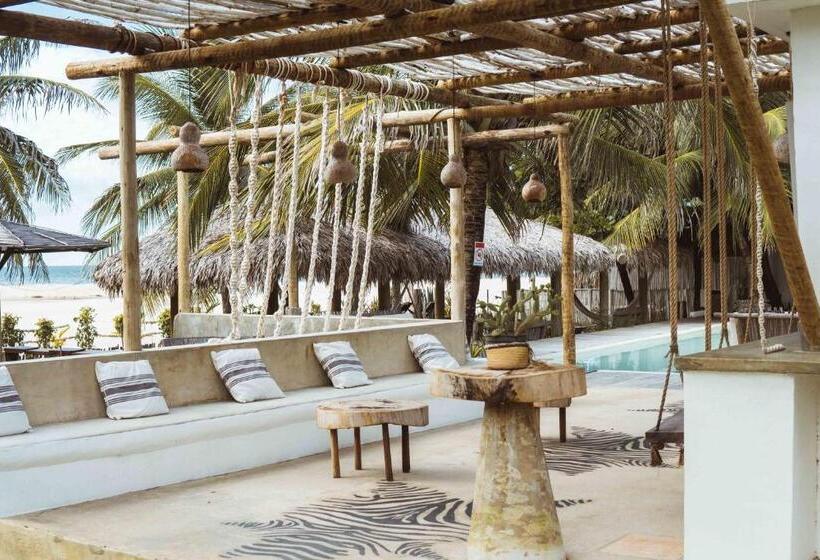 Отель Zebra Boutique