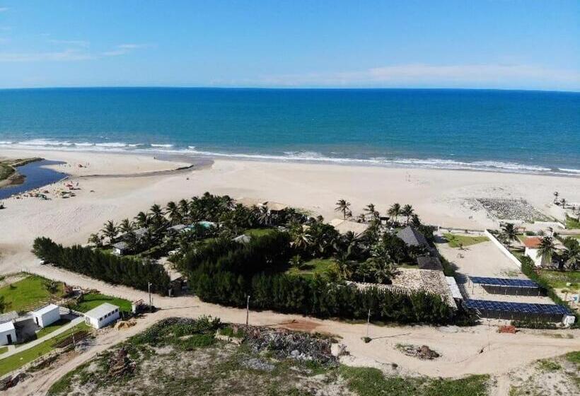 Отель Zebra Boutique