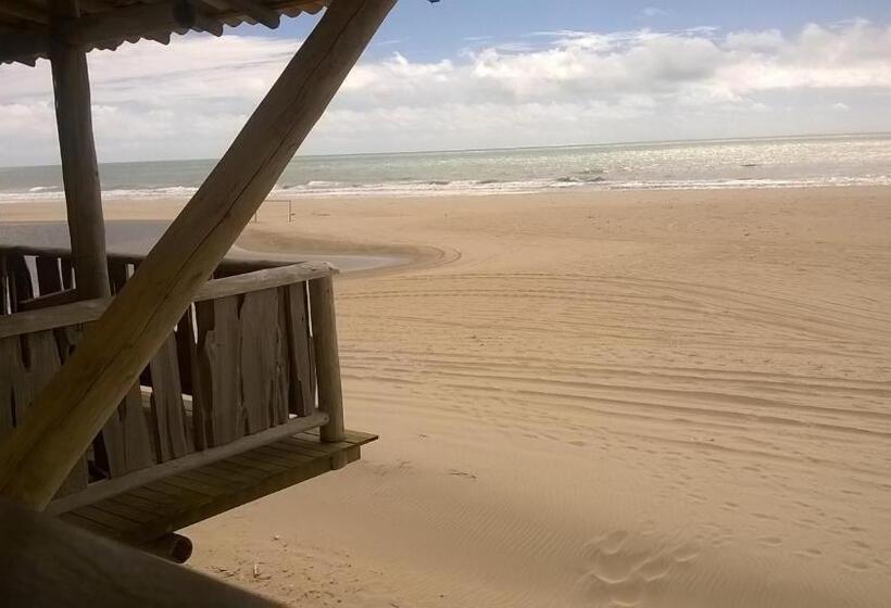 Отель Zebra Boutique