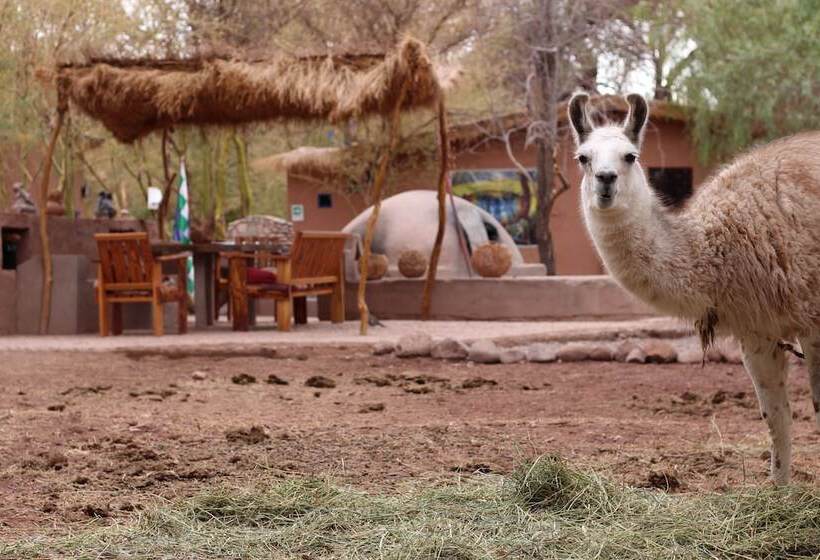 酒店 Ckoi Atacama Lodge