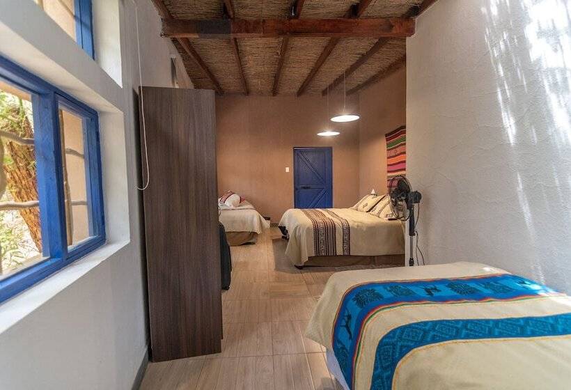 酒店 Ckoi Atacama Lodge