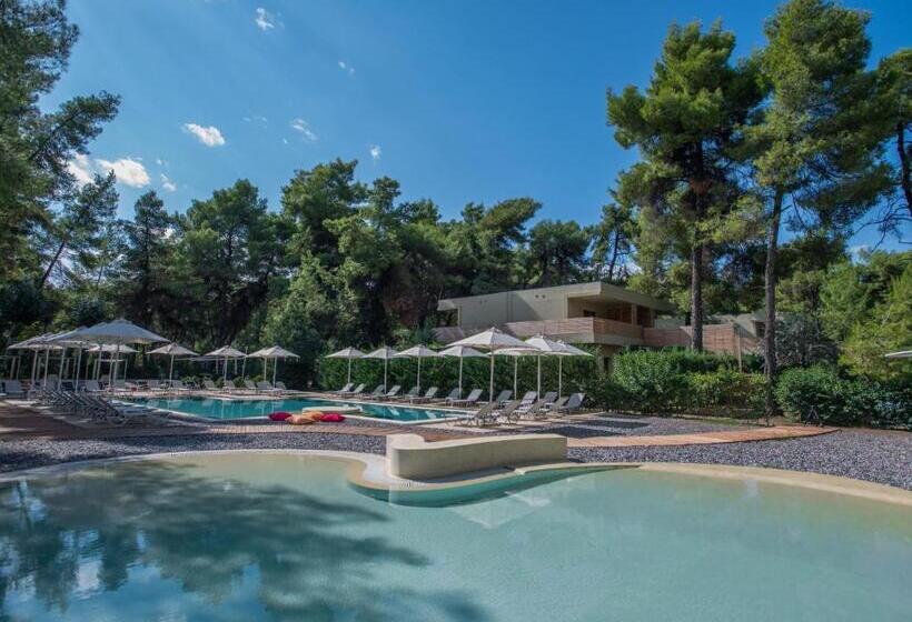 호텔 Club Agia Anna