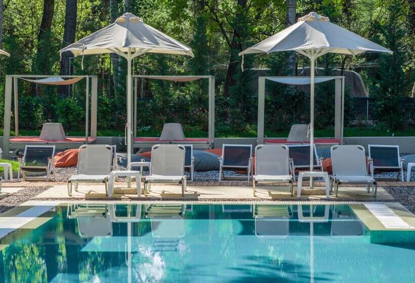 호텔 Club Agia Anna