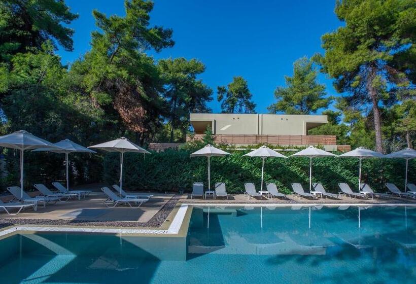 호텔 Club Agia Anna