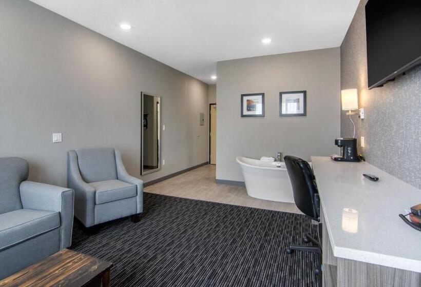 酒店 Comfort Inn & Suites