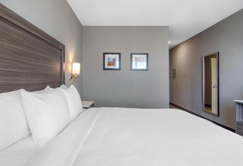 هتل Comfort Inn & Suites