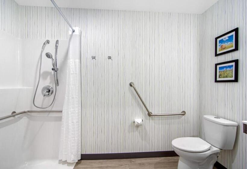 酒店 Comfort Inn & Suites