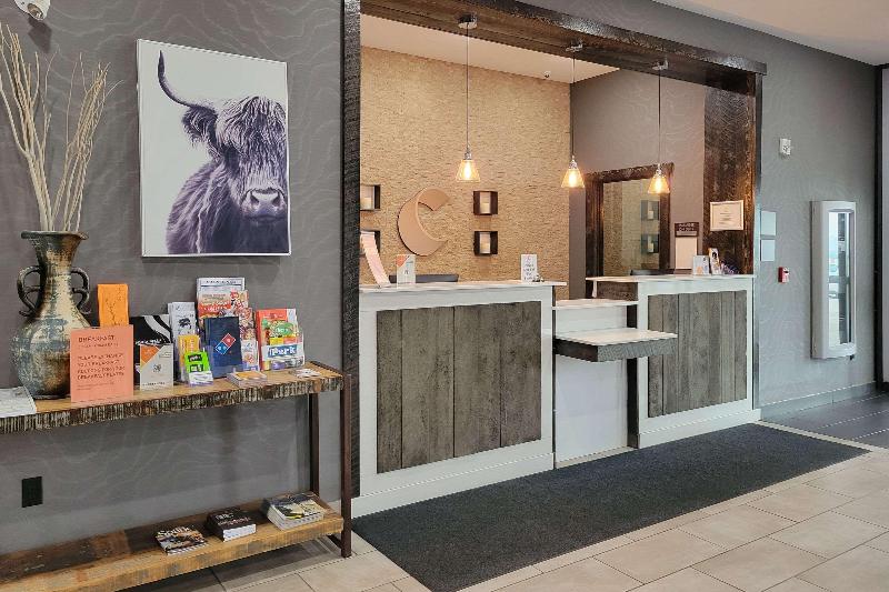 酒店 Comfort Inn & Suites