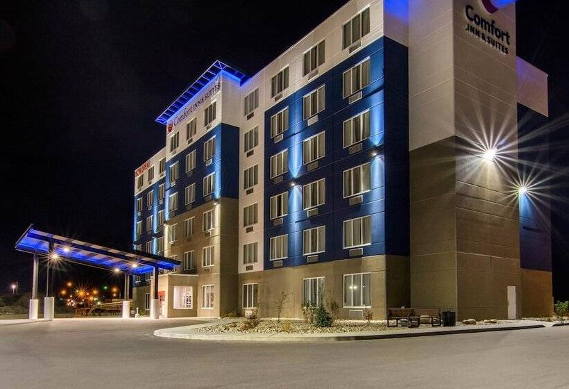 酒店 Comfort Inn & Suites