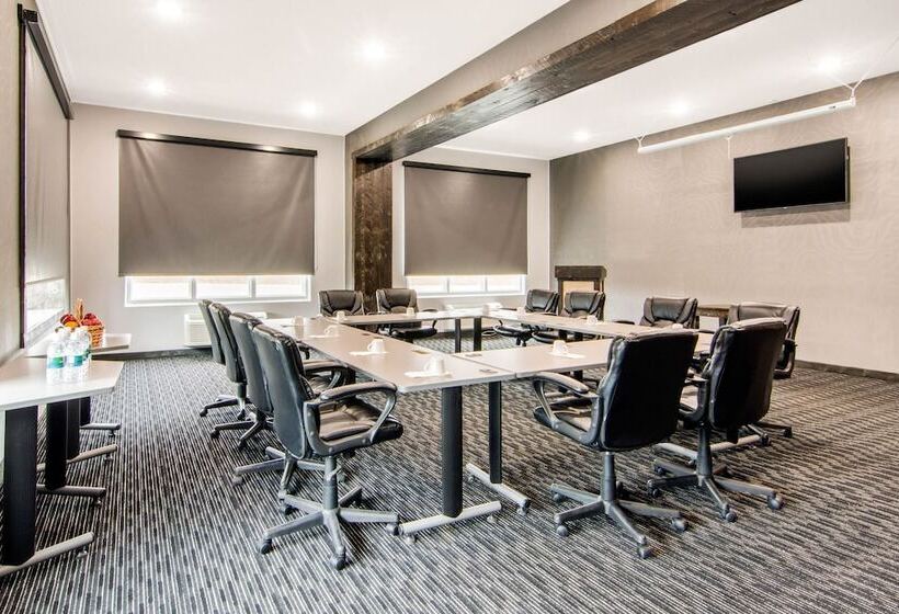 酒店 Comfort Inn & Suites