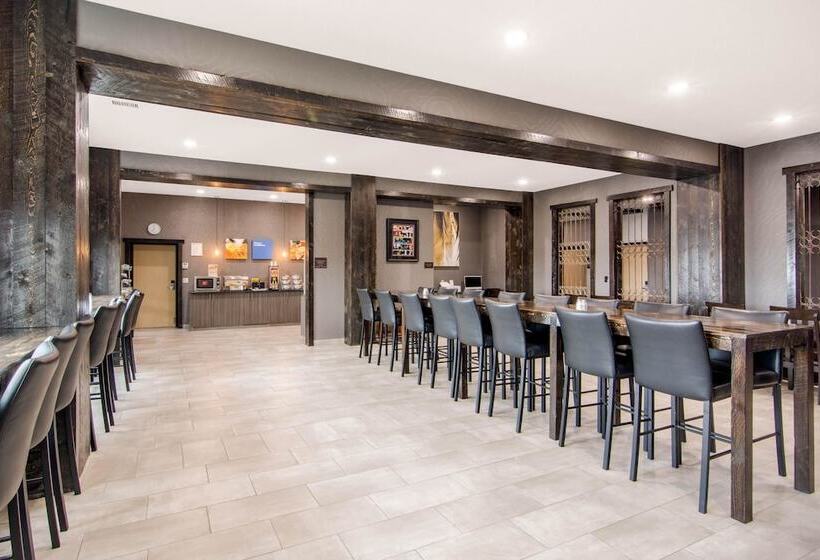 酒店 Comfort Inn & Suites