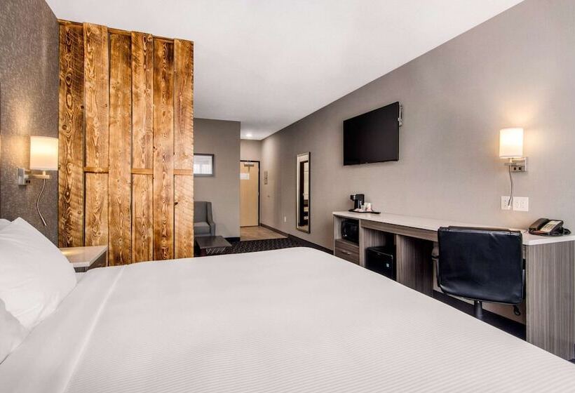 酒店 Comfort Inn & Suites