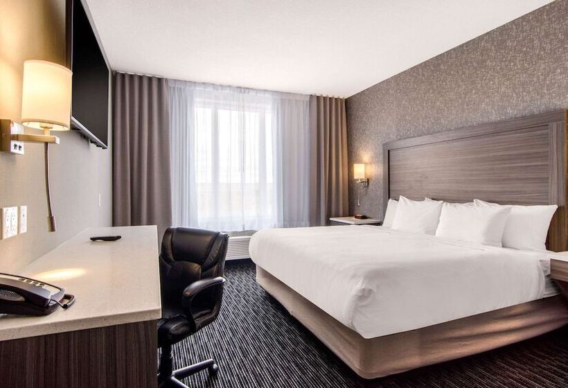 酒店 Comfort Inn & Suites