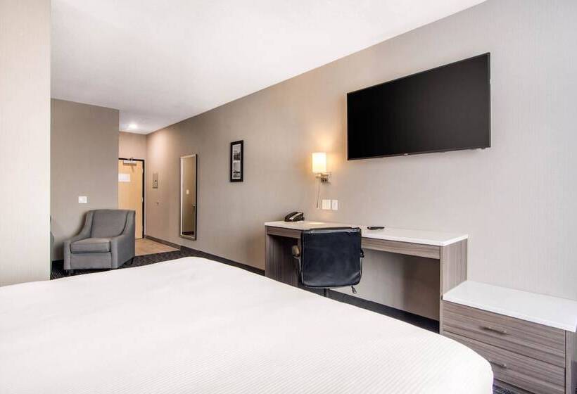 هتل Comfort Inn & Suites