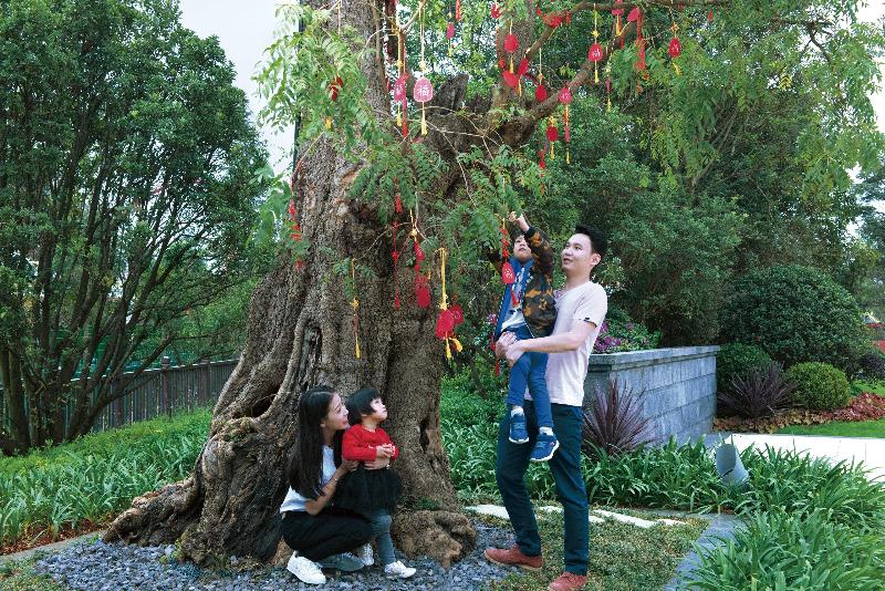 Отель Crowne Plaza   Kunming Ancient Dian Town, An Ihg