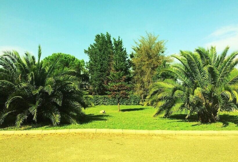 هتل Diamante Di Matera