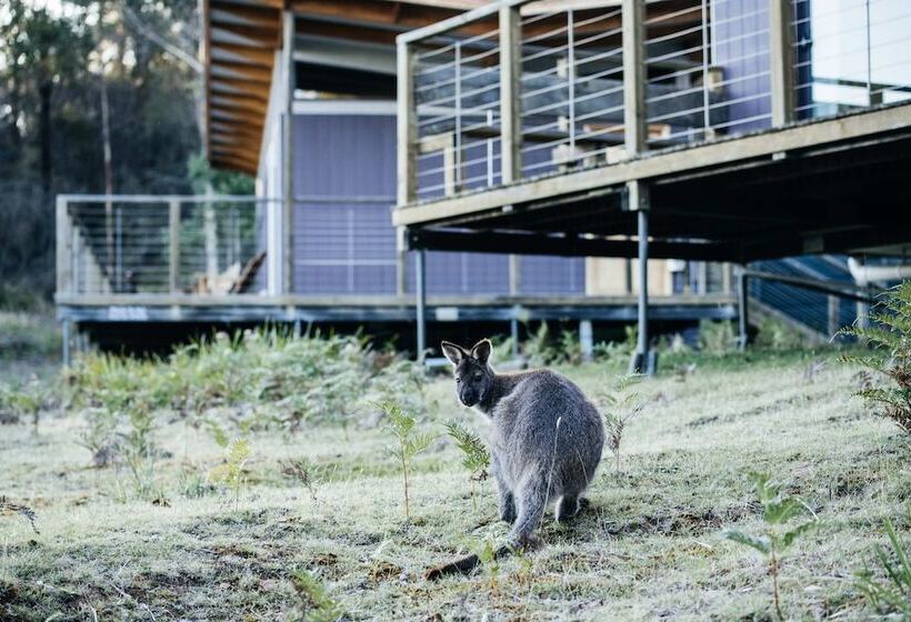 호텔 Freycinet Resort