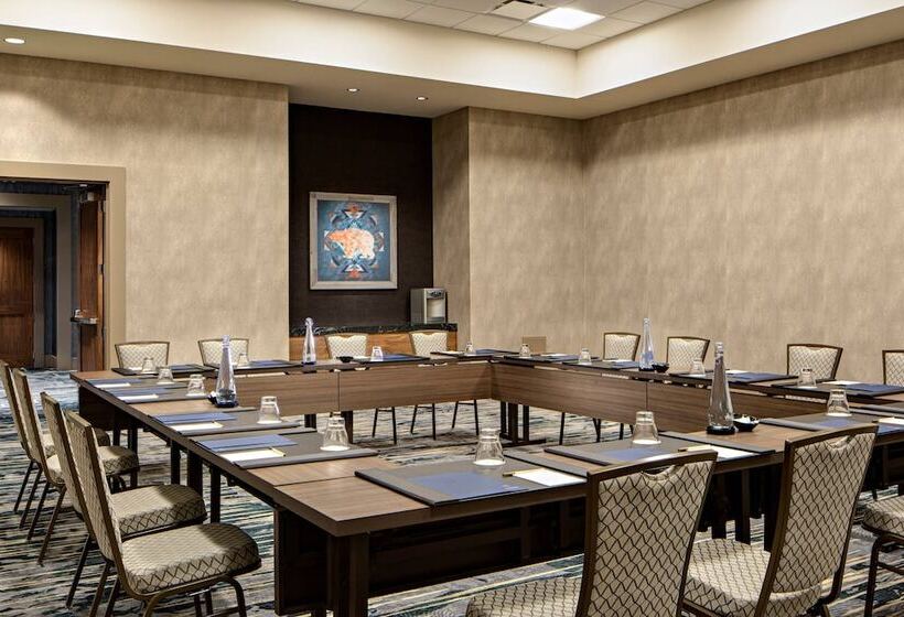 فندق Gaylord Rockies Resort & Convention Center