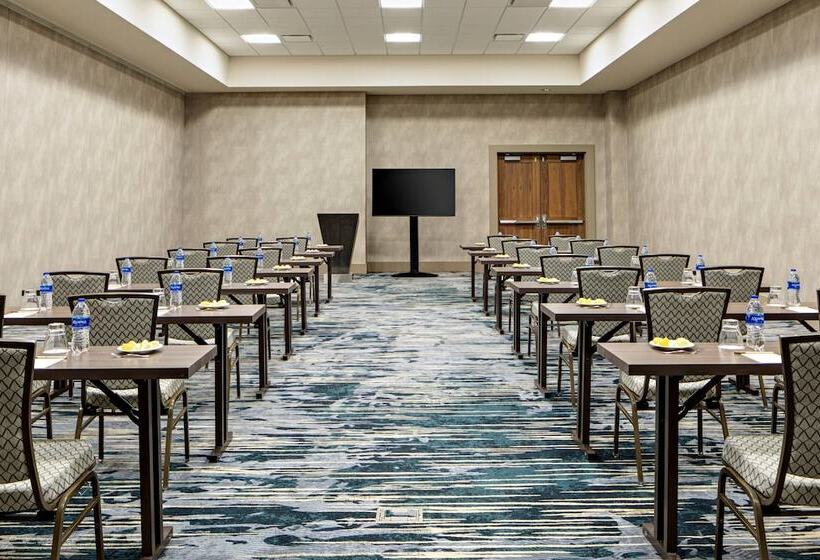 فندق Gaylord Rockies Resort & Convention Center