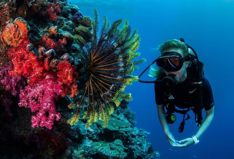 호텔 Kokomo Private Island Fiji