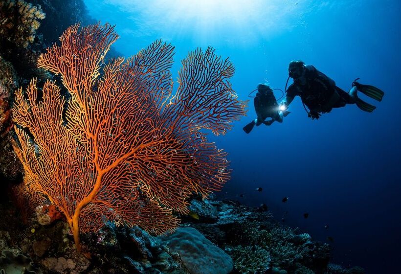 호텔 Kokomo Private Island Fiji