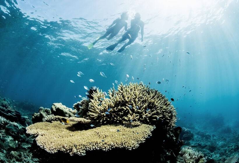 호텔 Kokomo Private Island Fiji